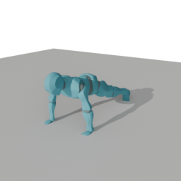 Basic Push Up